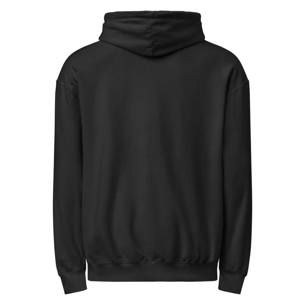 unisex-garment-dyed-lightweight-fleece-hooded-sweatshirt-i-comfort-colors-1467-black-back-692d1ae12c5a8.jpg